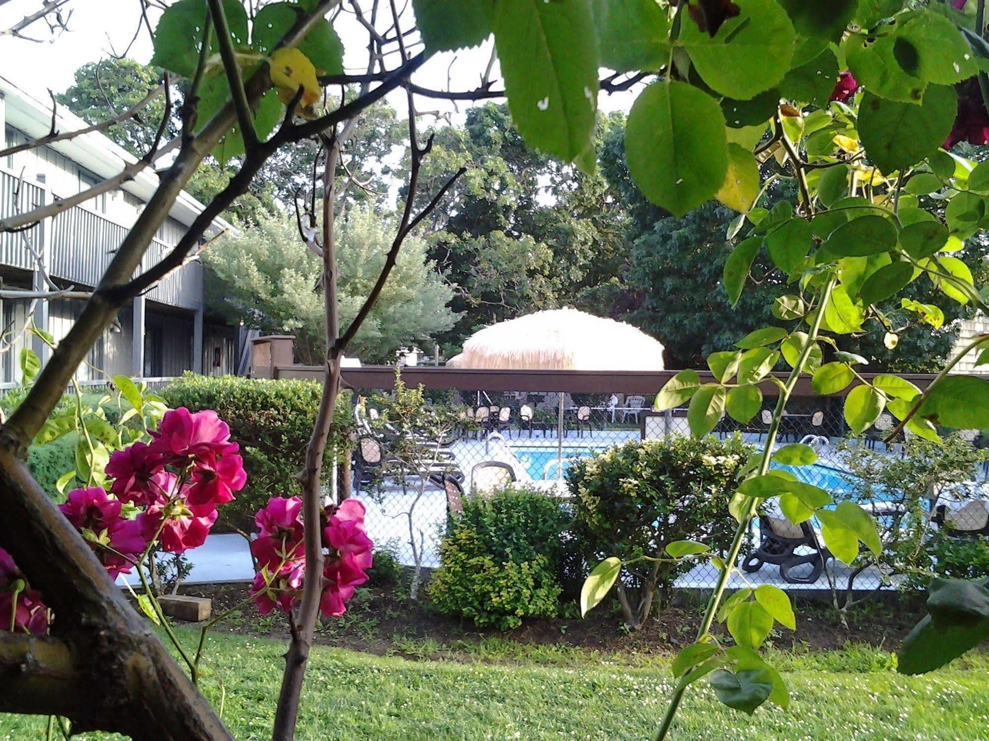 Kenny's Tipperary Motel 3*